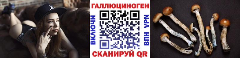 Псилоцибиновые грибы Cubensis Балашиха